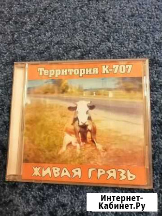 CD Территория Барнаул - изображение 1