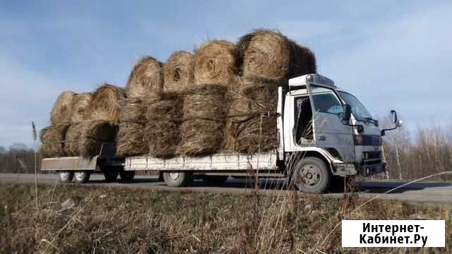 Сено Новокузнецк - изображение 1