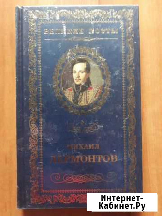 Великие поэты книги Нижний Новгород - изображение 1