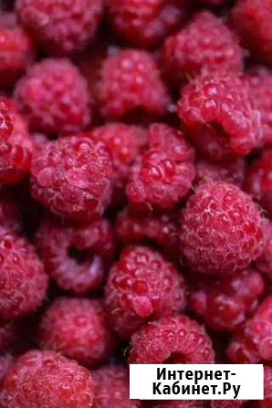Малина протертая с сахаром Красноярск - изображение 1