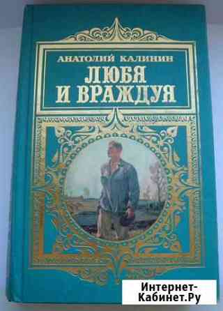 Любя и враждуя Анатолий Калинин Красноярск