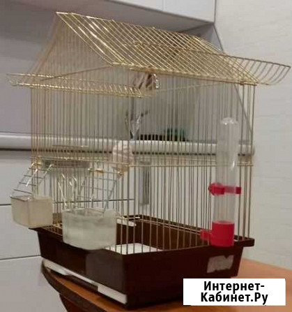 Клетка для попугаев Тюмень - изображение 1