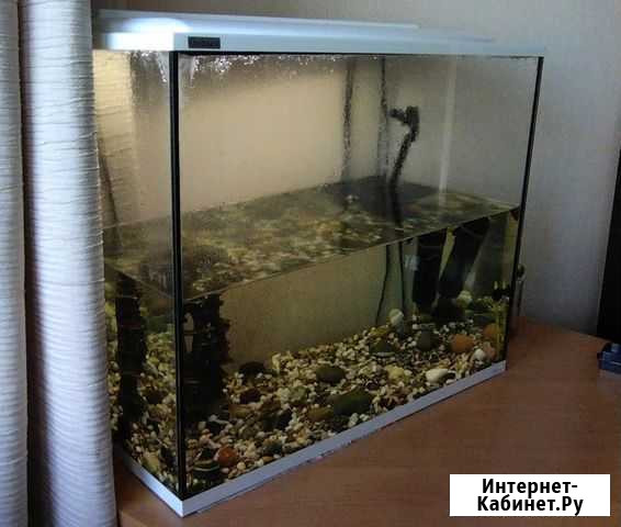 Аквариум Тамбов - изображение 1
