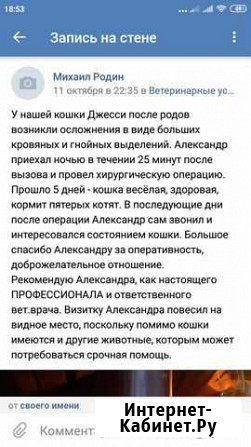 Ветеринар с выездом на дом Иваново - изображение 1
