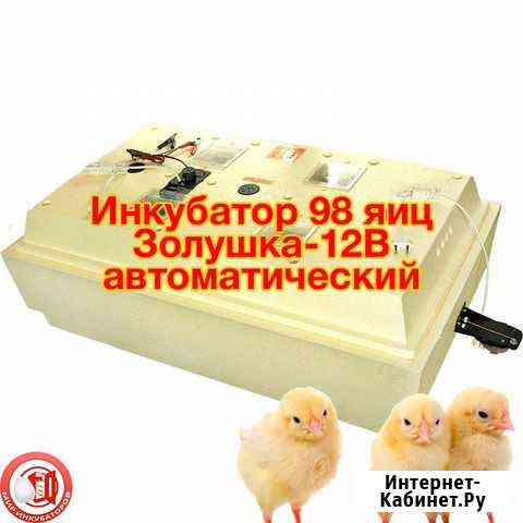 Инкубатор Казань