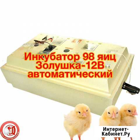 Инкубатор Казань - изображение 1