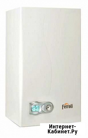 Газовый котёл FerroliDomitech F 24 двухконтурный Тотьма - изображение 1