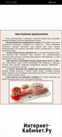 Кролик Каменск-Уральский - изображение 1