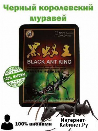 Муравей \ Мужской бад Грозный - изображение 1