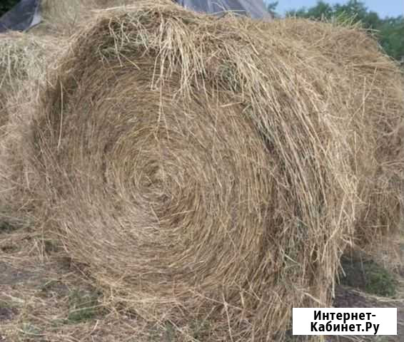 Сено Архангельская - изображение 1