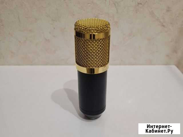 Конденсаторный микрофон BM 800 Сургут - изображение 1
