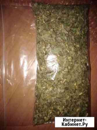 Калия закатечичи оригинал с перу Москва