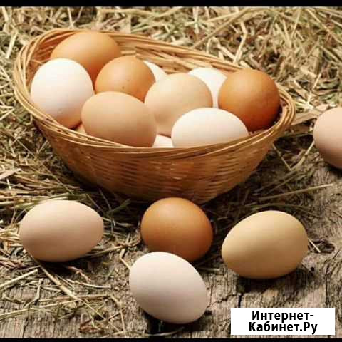 Яйцо домашнее Звенигород - изображение 1
