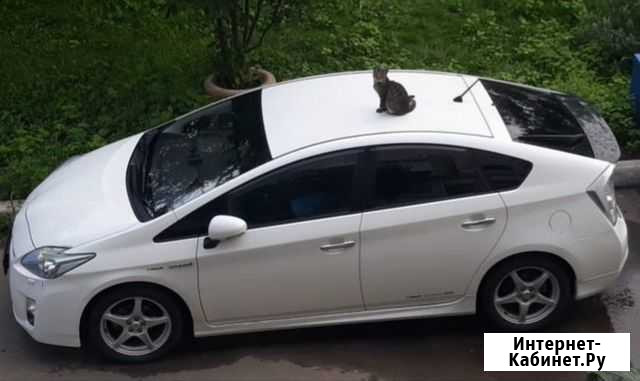 Услуги водителя с личным автомобилем Биробиджан - изображение 1