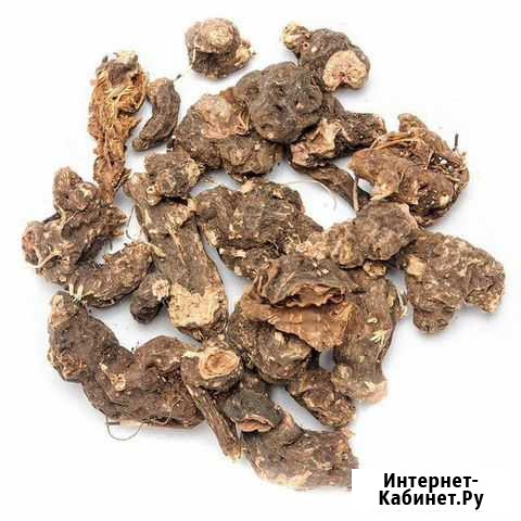 Корень калгана Воронеж - изображение 1