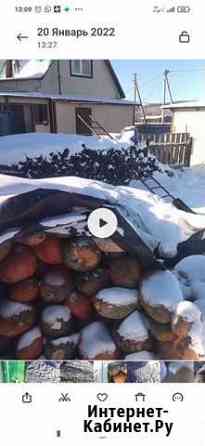 Продам тыкву Белогорск
