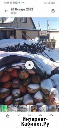 Продам тыкву Белогорск - изображение 1