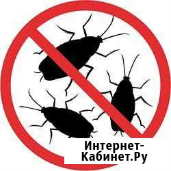 Дизенсекция Убинское - изображение 1