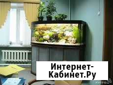 Немецкие аквариумы Juwel c оборудованием Омск - изображение 1