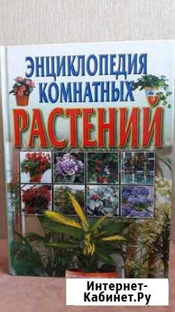 Энциклопедия комнатных растений Мыски - изображение 1