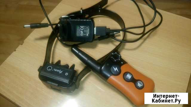 Электронный ошейник Хабаровск - изображение 1