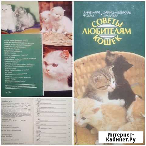 Книга Советы любителям кошек Вихоревка - изображение 1