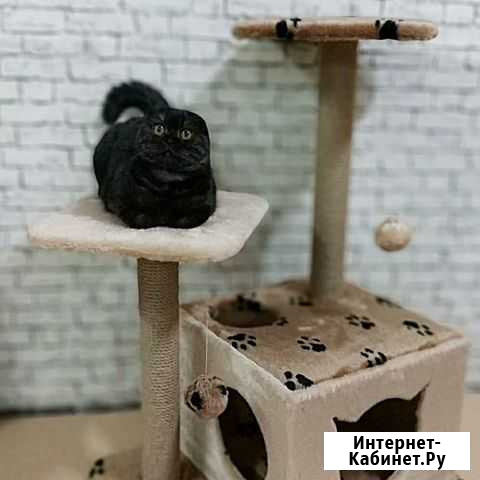 Игровой Комплекс Рокси Томск - изображение 1