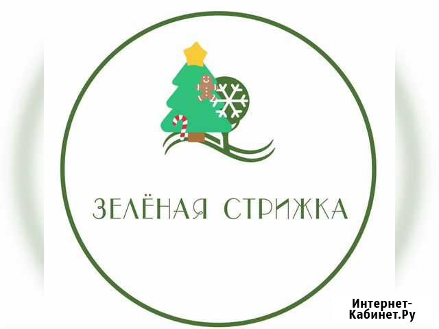 Стрижка деревьев Смоленск - изображение 1