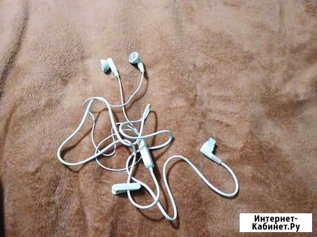 Наушники earpods Ковров - изображение 1