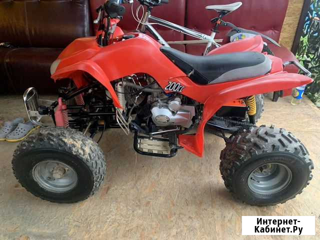 Cobra 200 (раптор) доставка Домодедово - изображение 1