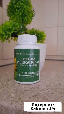 Сенна мекканская Оренбург - изображение 1