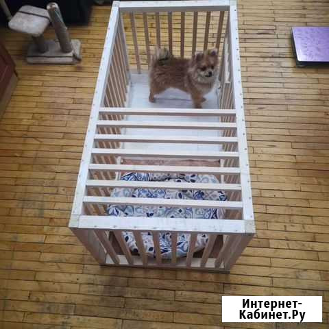 Клетка для собак мелких пород Сертолово - изображение 1