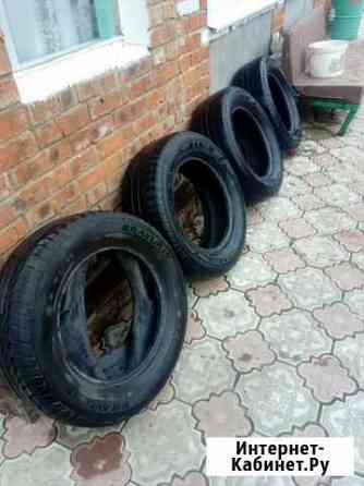 Barum 235/65 R16 Елец