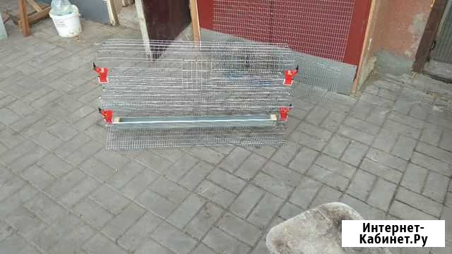 Клетки для перепелов Белгород - изображение 1