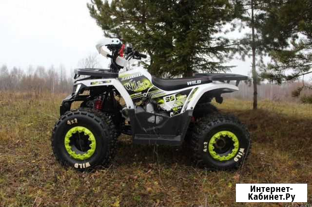 Квадроцикл Motoland wild 125 Улан-Удэ - изображение 1