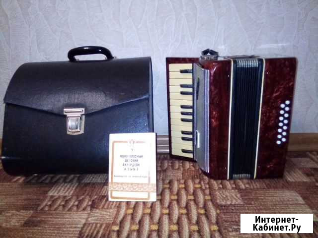 Продам аккордеон Малыш Петропавловск-Камчатский - изображение 1
