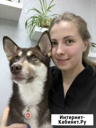 Помощник грумера Мурино - изображение 1
