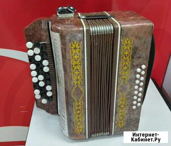 Гармошка малыш Улан-Удэ - изображение 1