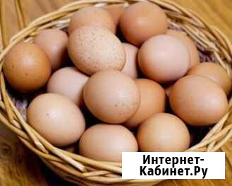 Яйца Кандалакша - изображение 1