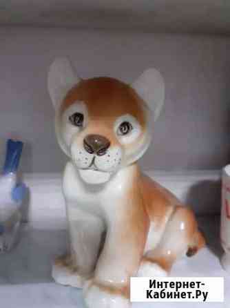 Львенок лфз Курск