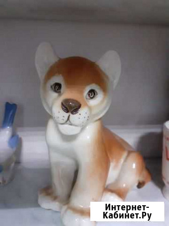 Львенок лфз Курск - изображение 1