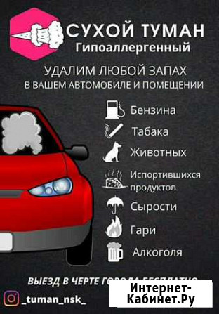 Обработка автомобилей и помещений сухим туманом Нефтекамск - изображение 1