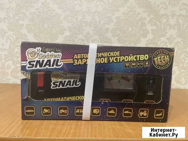 Автоматическое зарядное устройство Golden Snail GS Ярославль - изображение 1