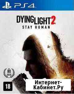 Dying light 2 ps4 Нижний Тагил