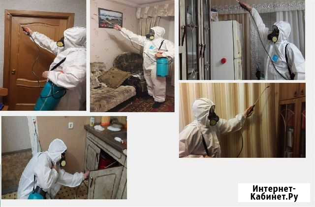 Уничтожение клопов тараканов Холодный туман Курган - изображение 1