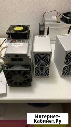 Goldshell kd box Сургут - изображение 1