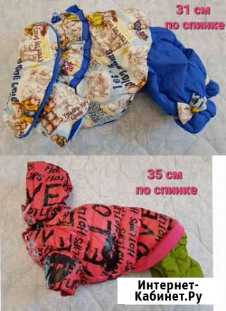 Одежда для собак Бердск - изображение 1