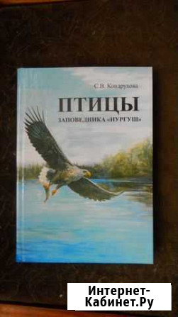 Птицы Заповедника нургуш 2012 Кондрухова Киров - изображение 1