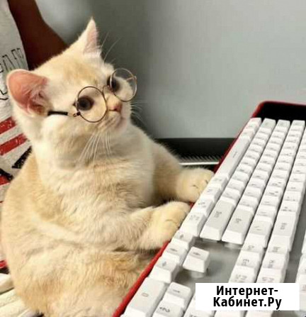 Английский онлайн - это удобно Петропавловск-Камчатский - изображение 1