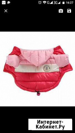 Куртка, комбинезон Красноярск - изображение 1